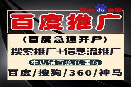 案例解读：SEM代理助力电商销量翻倍